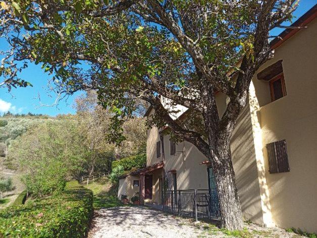 Agriturismo Il Giardino ปอนตาสซิเอเว ภายนอก รูปภาพ