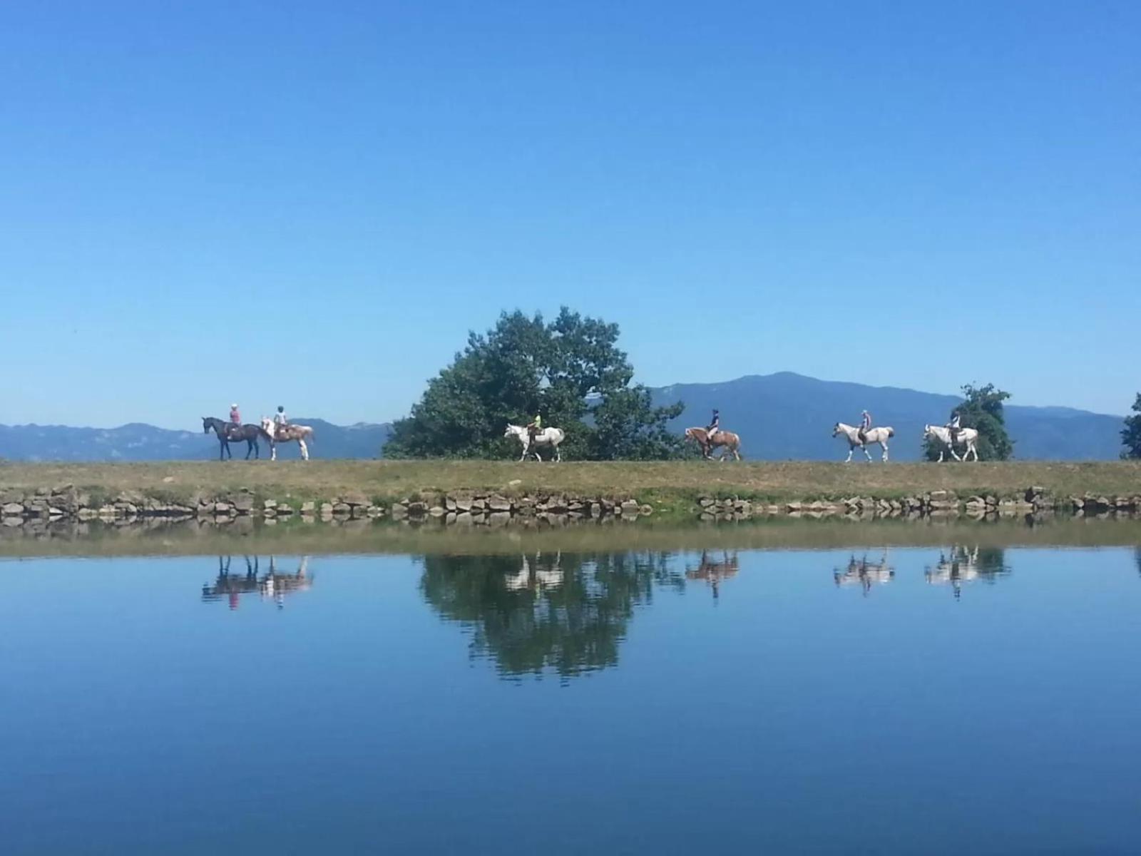 Agriturismo Il Giardino ปอนตาสซิเอเว ภายนอก รูปภาพ