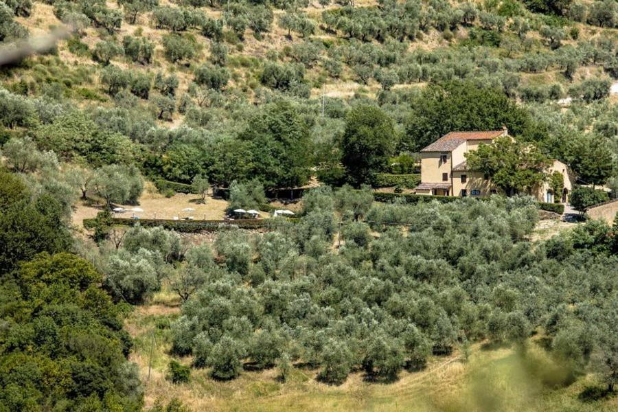 Agriturismo Il Giardino ปอนตาสซิเอเว ภายนอก รูปภาพ